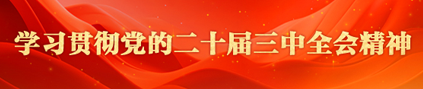 學(xué)習(xí)貫徹黨的二十屆三中全會(huì)精神