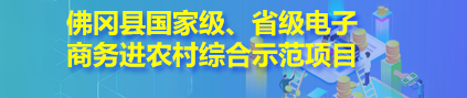 佛岡縣國(guó)家級(jí)、省級(jí)電子商務(wù)進(jìn)農(nóng)村綜合示范項(xiàng)目